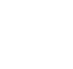 Wholehearted Photography Studio